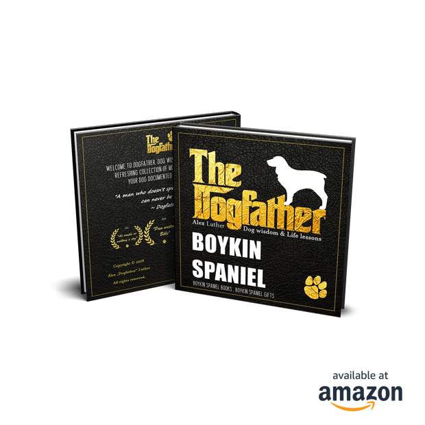 Boykin Spaniel Book - The Dogfather: Dog wisdom & Life lessons