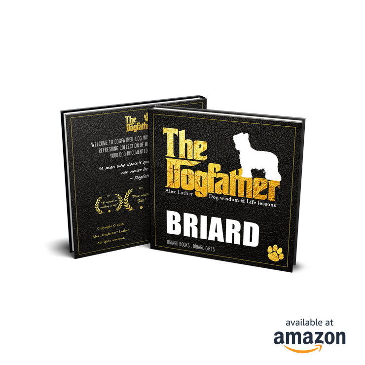 Briard Book - The Dogfather: Dog wisdom & Life lessons