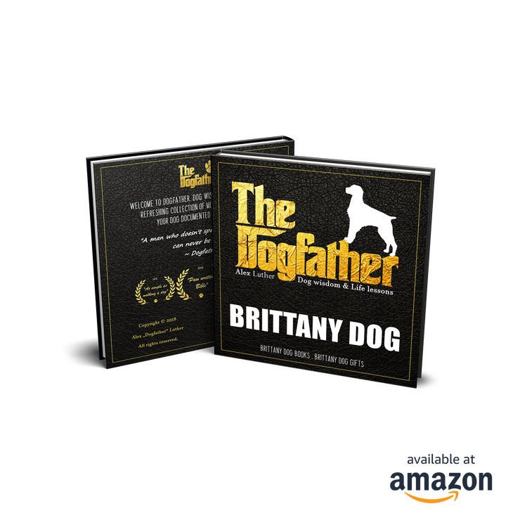 Brittany Dog Book - The Dogfather: Dog wisdom & Life lessons