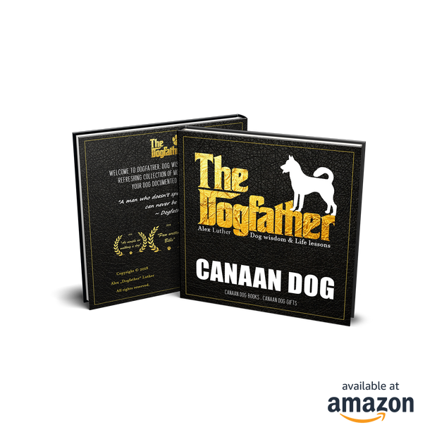 Canaan Dog Book - The Dogfather: Dog wisdom & Life lessons