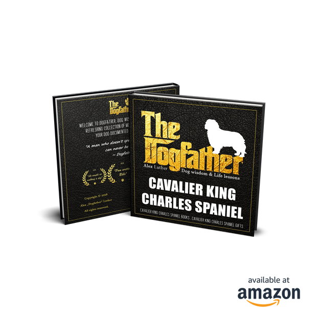Cavalier King Charles Spaniel Book - The Dogfather: Dog wisdom & Life lessons