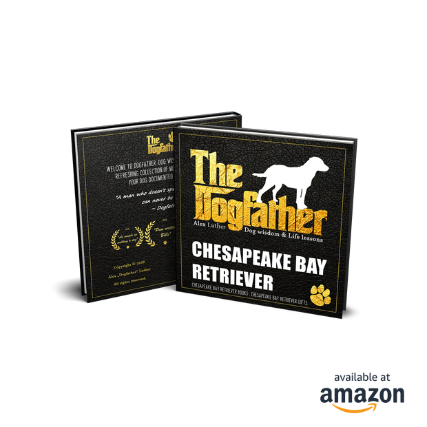 Chesapeake Bay Retriever Book - The Dogfather: Dog wisdom & Life lessons