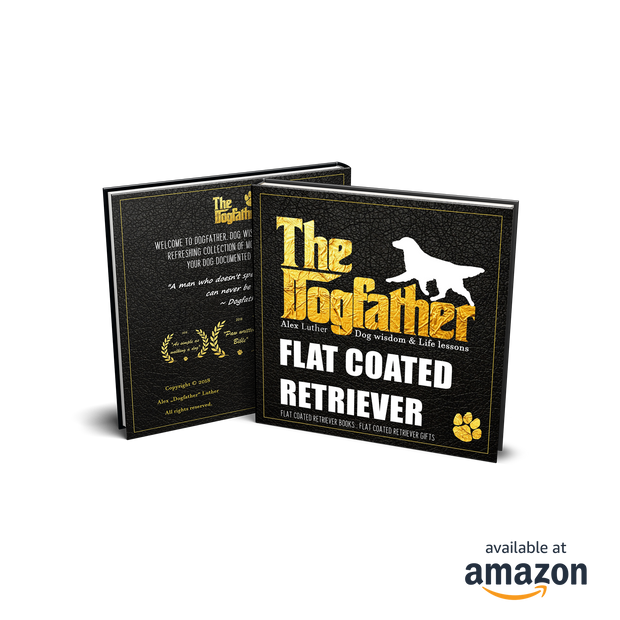 Flat Coated Retriever Book - The Dogfather: Dog wisdom & Life lessons