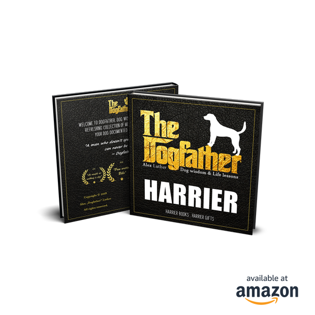 Harrier Book - The Dogfather: Dog wisdom & Life lessons