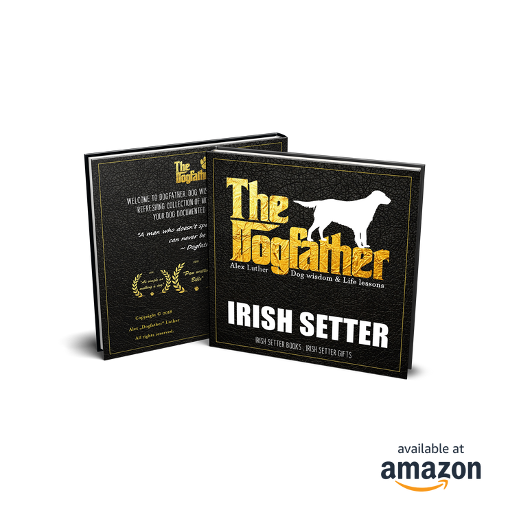Irish Setter Book - The Dogfather: Dog wisdom & Life lessons