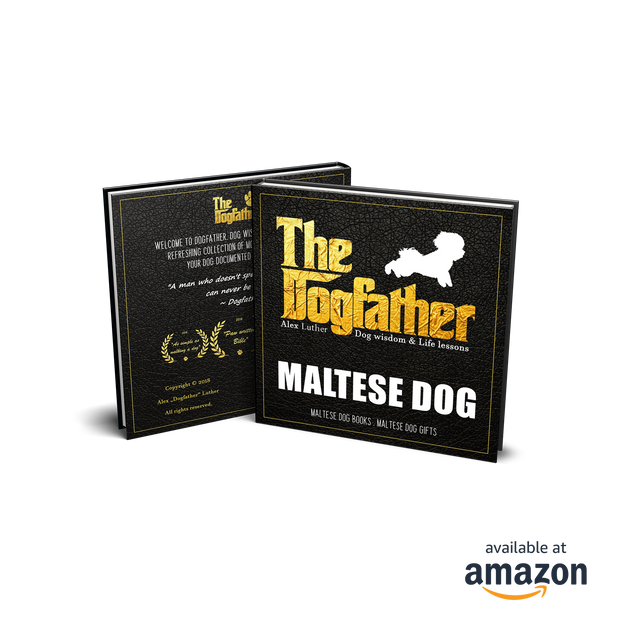 Maltese Dog Book - The Dogfather: Dog wisdom & Life lessons