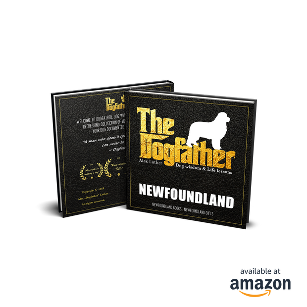 Newfoundland Book - The Dogfather: Dog wisdom & Life lessons