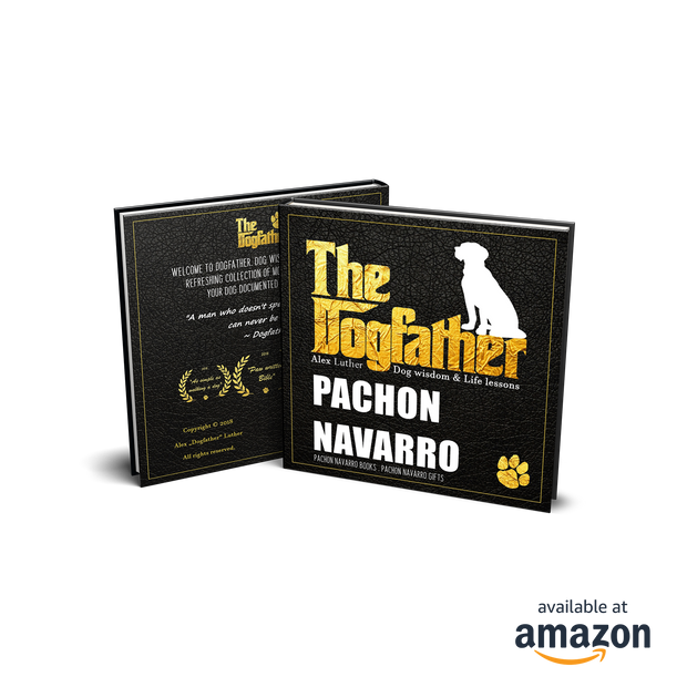 Pachon Navarro Book - The Dogfather: Dog wisdom & Life lessons