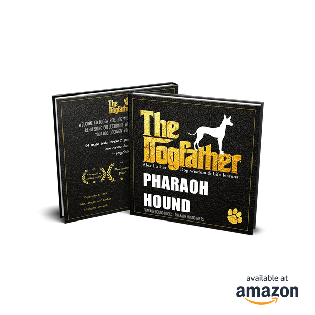 Pharaoh Hound Book - The Dogfather: Dog wisdom & Life lessons