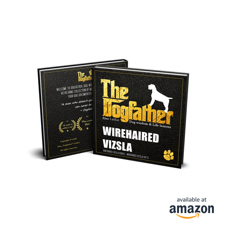 Wirehaired Vizsla Book - The Dogfather: Dog wisdom & Life lessons
