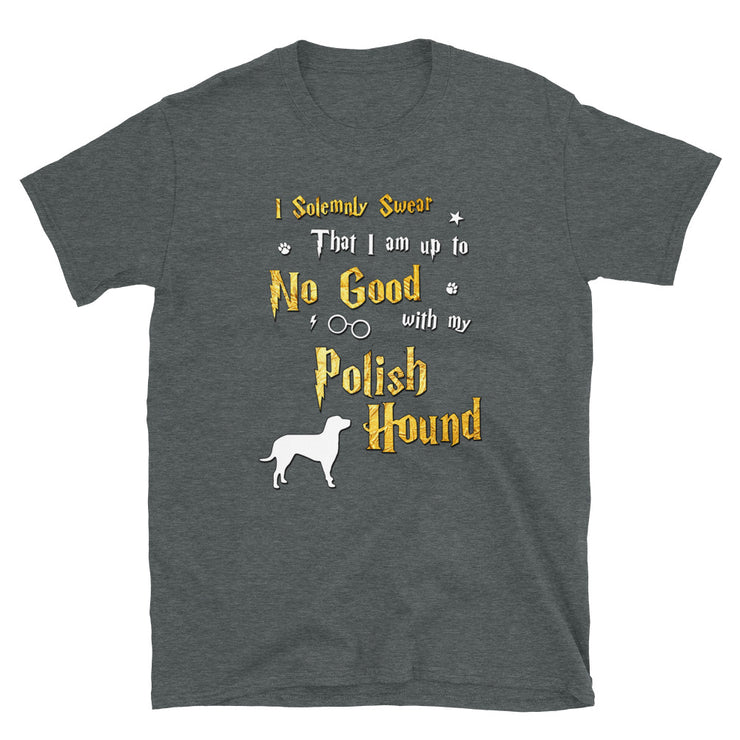 I Solemnly Swear Shirt - Polish Hound Shirt