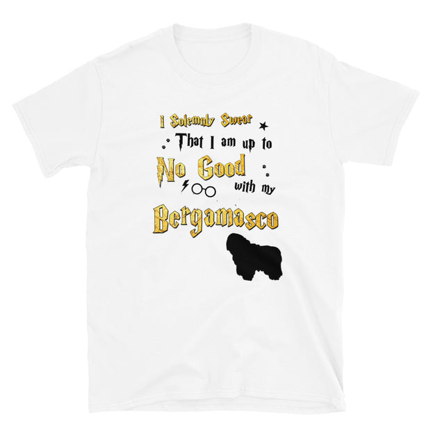 I Solemnly Swear Shirt - Bergamasco T-Shirt