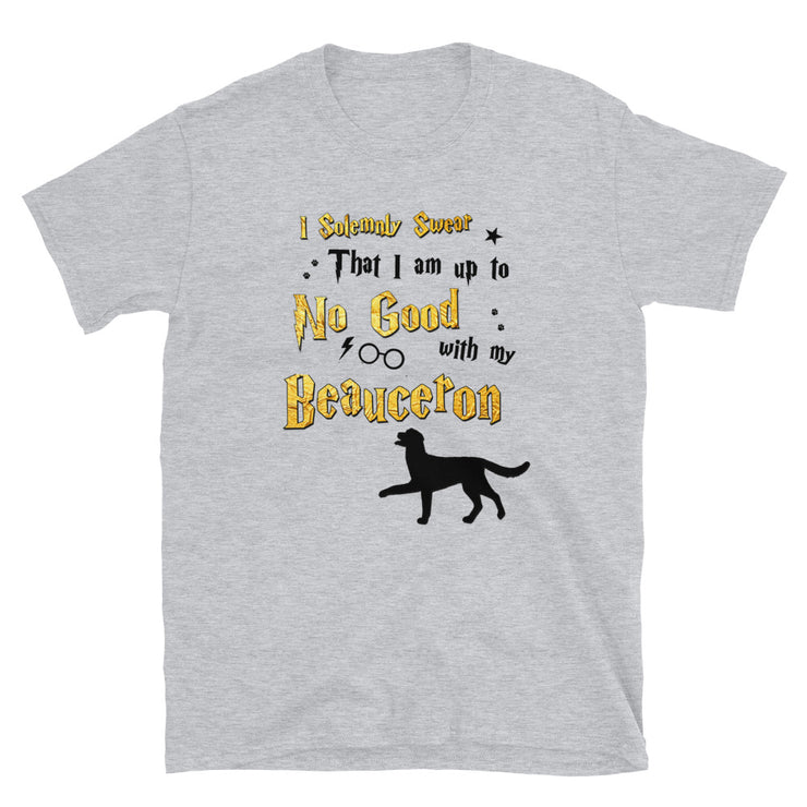 I Solemnly Swear Shirt - Beauceron T-Shirt