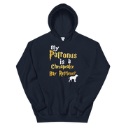 Chesapeake Bay Retriever Hoodie -  Patronus Unisex Hoodie