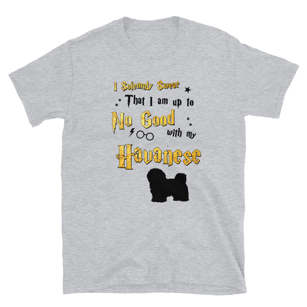 I Solemnly Swear Shirt - Havanese T-Shirt