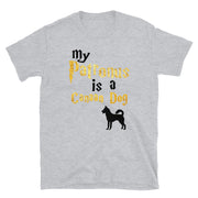 Canaan Dog T Shirt - Patronus T-shirt