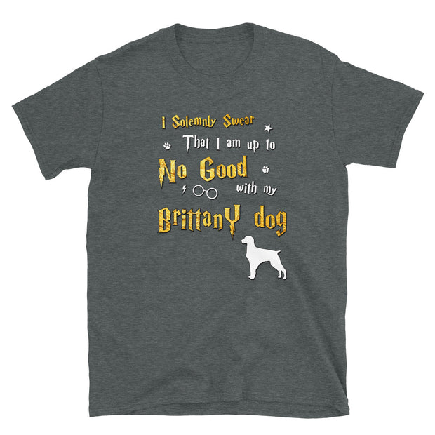 I Solemnly Swear Shirt - Brittany Dog Shirt