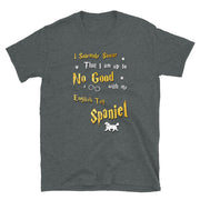 I Solemnly Swear Shirt - English Toy Spaniel Shirt