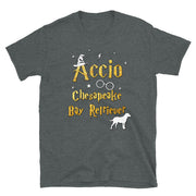 Accio Chesapeake Bay Retriever T Shirt