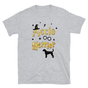 Accio Harrier T Shirt - Unisex