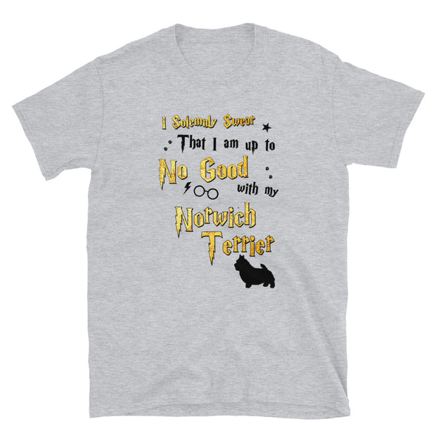 I Solemnly Swear Shirt - Norwich Terrier T-Shirt