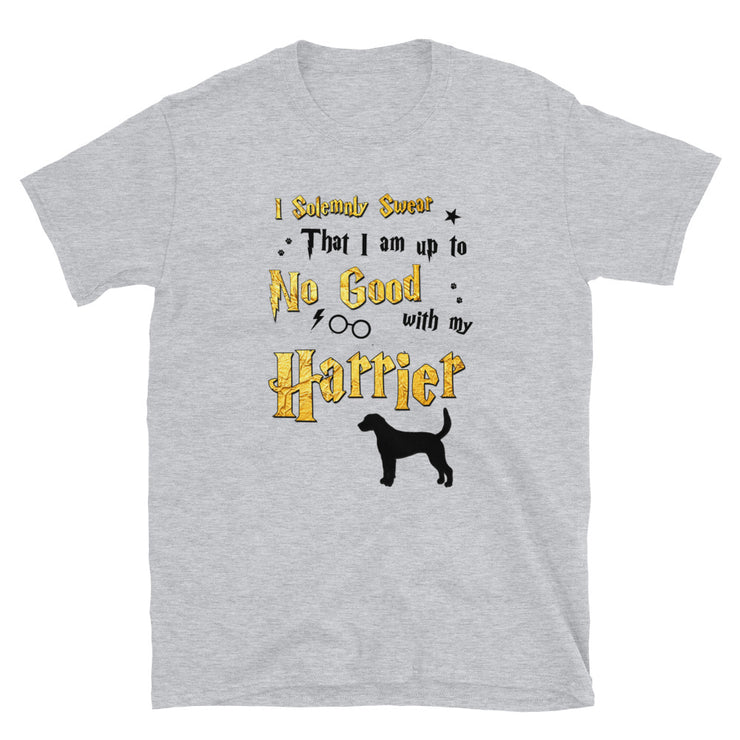 I Solemnly Swear Shirt - Harrier T-Shirt