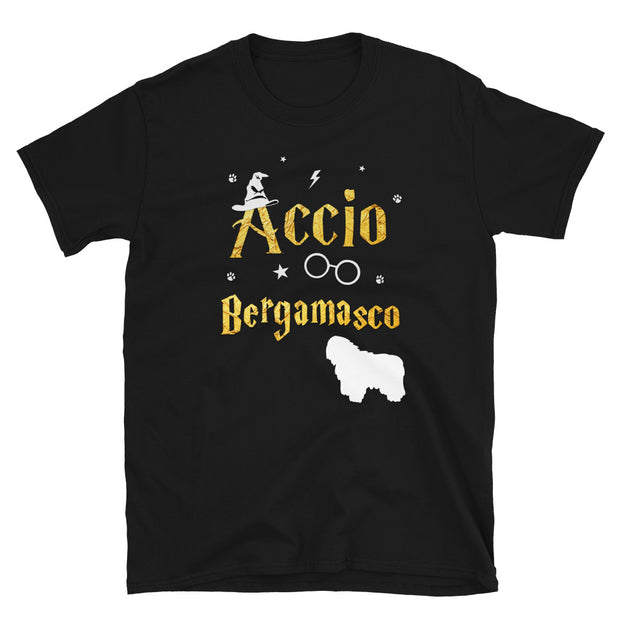 Accio Bergamasco T Shirt