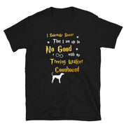 I Solemnly Swear Shirt - Treeing Walker Coonhound Shirt