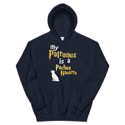 Pachon Navarro Hoodie -  Patronus Unisex Hoodie