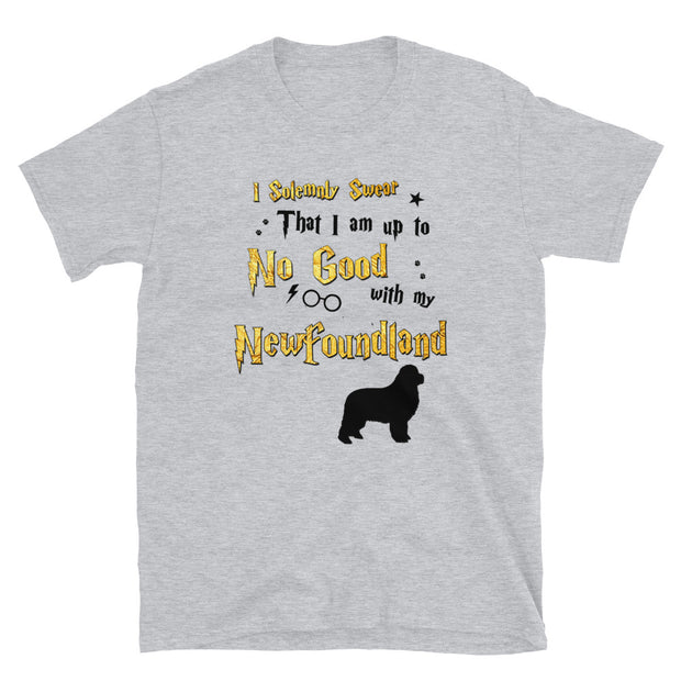 I Solemnly Swear Shirt - Newfoundland T-Shirt