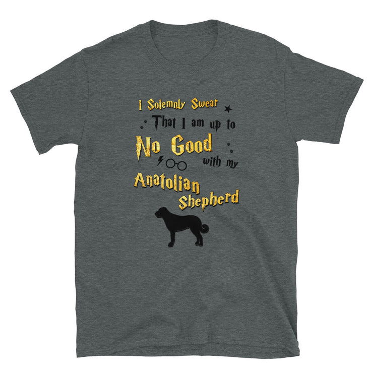 I Solemnly Swear Shirt - Anatolian Shepherd T-Shirt