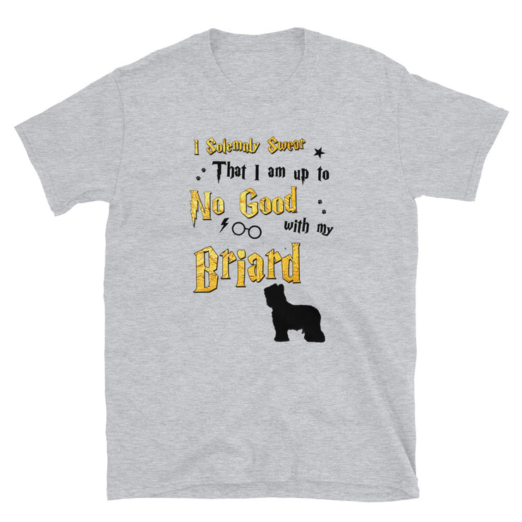 I Solemnly Swear Shirt - Briard T-Shirt