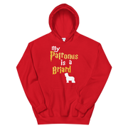 Briard Hoodie -  Patronus Unisex Hoodie