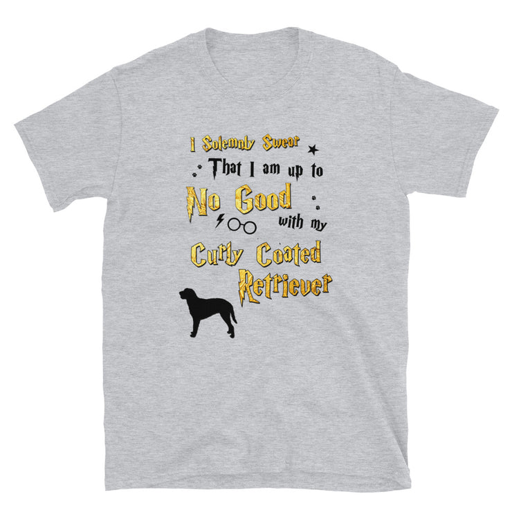 I Solemnly Swear Shirt - Curly Coated Retriever T-Shirt