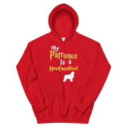 Newfoundland Hoodie -  Patronus Unisex Hoodie