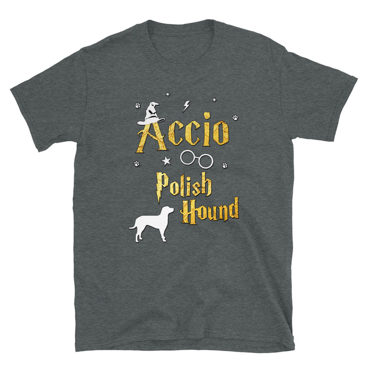 Accio Polish Hound T Shirt