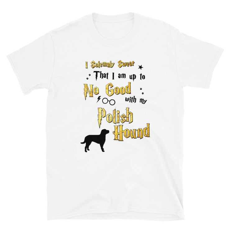 I Solemnly Swear Shirt - Polish Hound T-Shirt