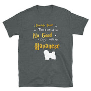 I Solemnly Swear Shirt - Havanese Shirt