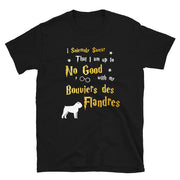 I Solemnly Swear Shirt - Bouviers des Flandres Shirt