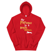 Belgian Malinois Hoodie -  Patronus Unisex Hoodie