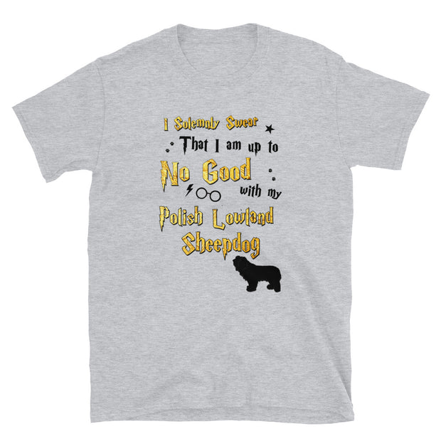 I Solemnly Swear Shirt - Polish Lowland Sheepdog T-Shirt