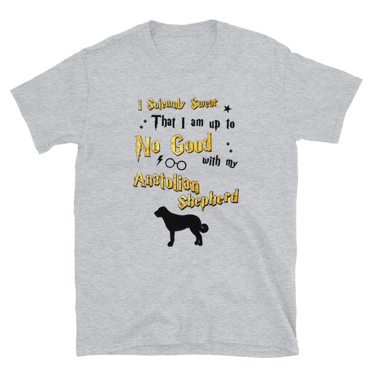 I Solemnly Swear Shirt - Anatolian Shepherd T-Shirt