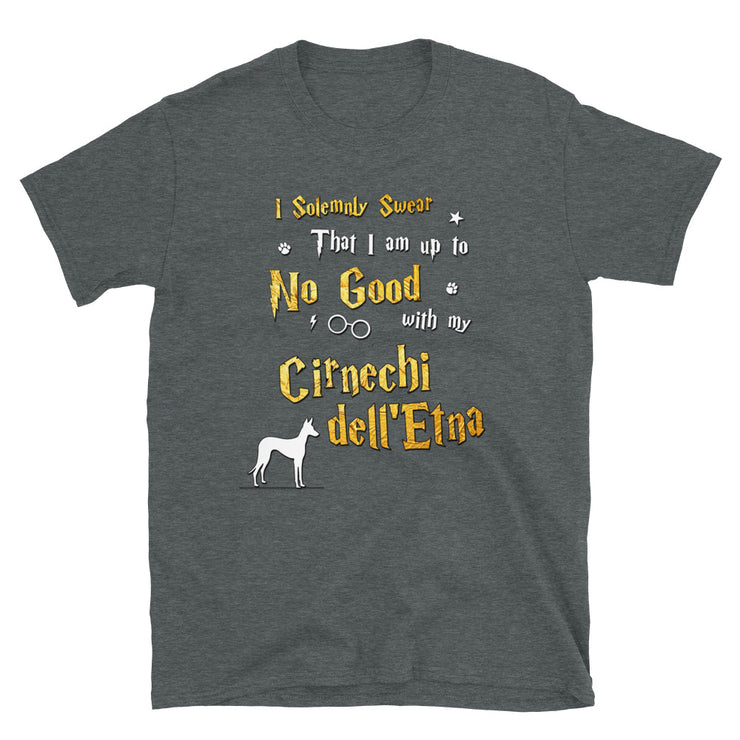 I Solemnly Swear Shirt - Cirnechi dell Etna Shirt