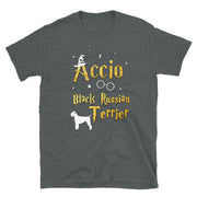Accio Black Russian Terrier T Shirt