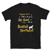 I Solemnly Swear Shirt - Scottish Deerhound Shirt