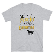 Accio Dalmatian T Shirt - Unisex