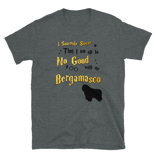 I Solemnly Swear Shirt - Bergamasco T-Shirt