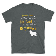I Solemnly Swear Shirt - Bergamasco Shirt