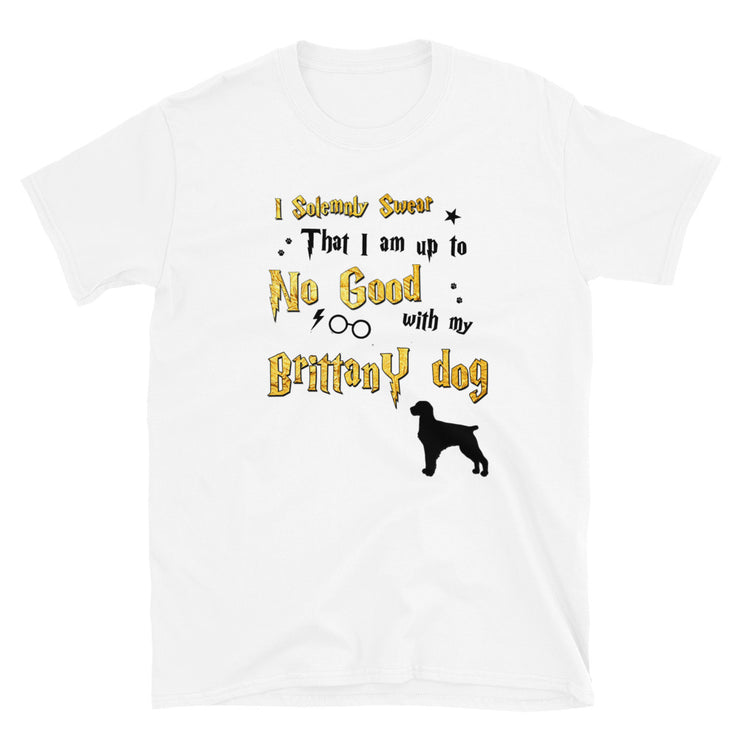 I Solemnly Swear Shirt - Brittany Dog T-Shirt