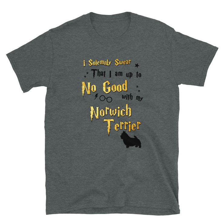 I Solemnly Swear Shirt - Norwich Terrier T-Shirt